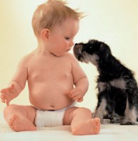 Знакомим ребёнка с домашними животными